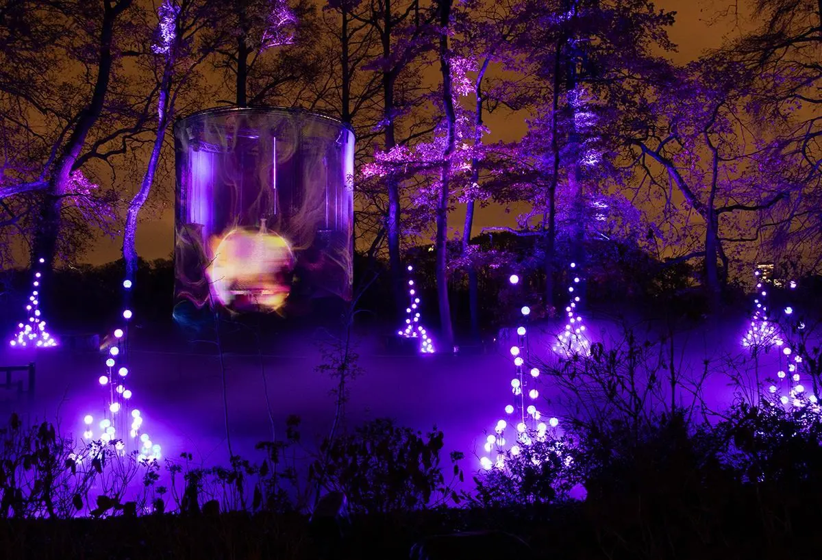 Installation lumineuse violette dans une forêt